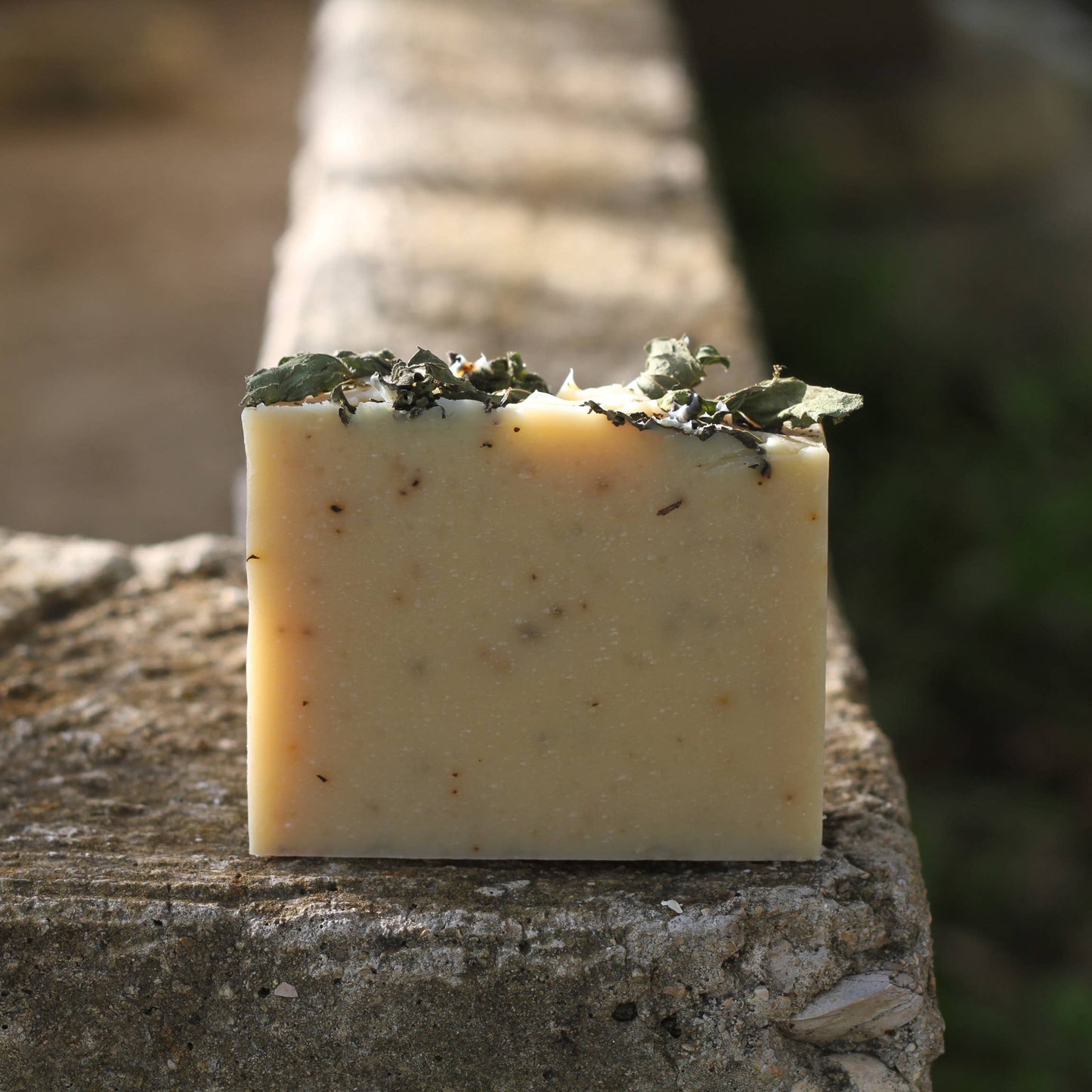 Private Label Goats Milk Soap Style 2 - with your logo!